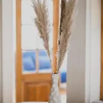 Dreamy High-ceiling In The Centre * Pärnu