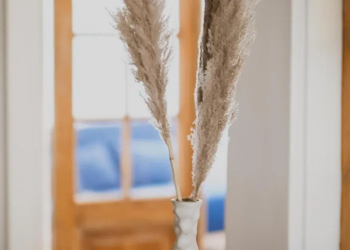 Dreamy High-ceiling In The Centre * Parnu